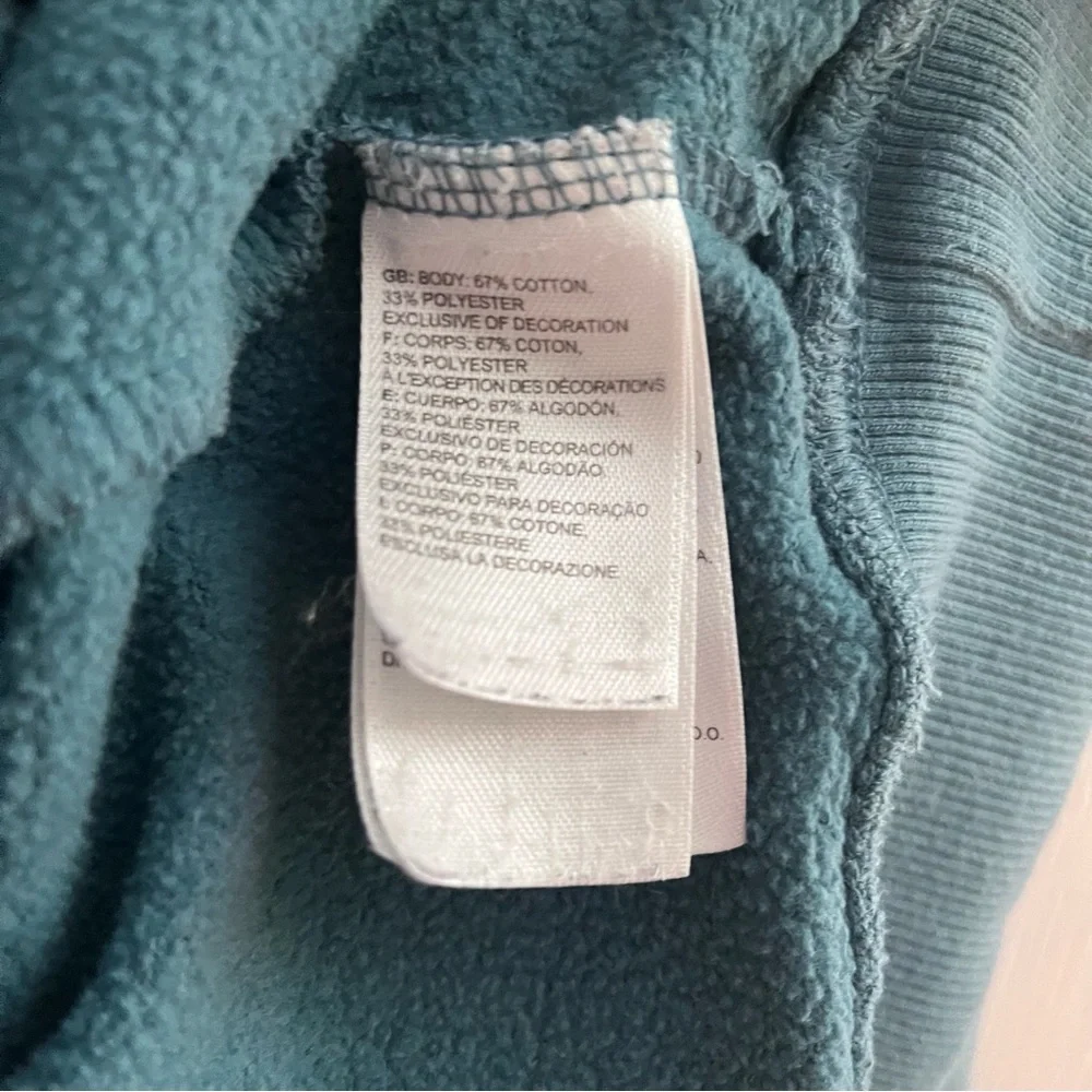 The North Face Men's Blue Hoodie Sweatshirt